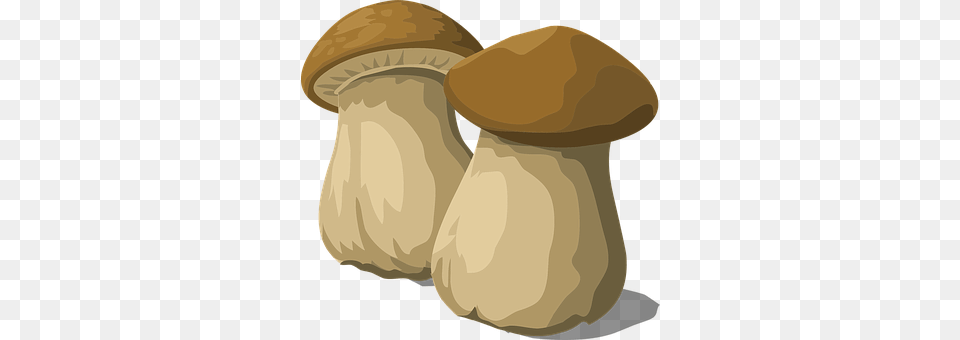 Porcini Fungus, Mushroom, Plant, Agaric Free Png Download