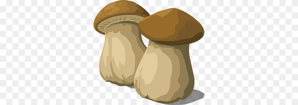 Porcini Mushroom Fungus Food Natural Mushroom, Plant, Agaric, Smoke Pipe Png Image