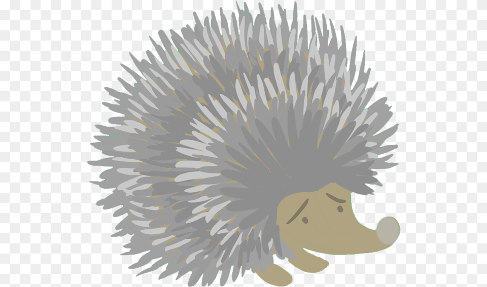 Porcupine, Animal, Hedgehog, Mammal, Plant Free Png Download