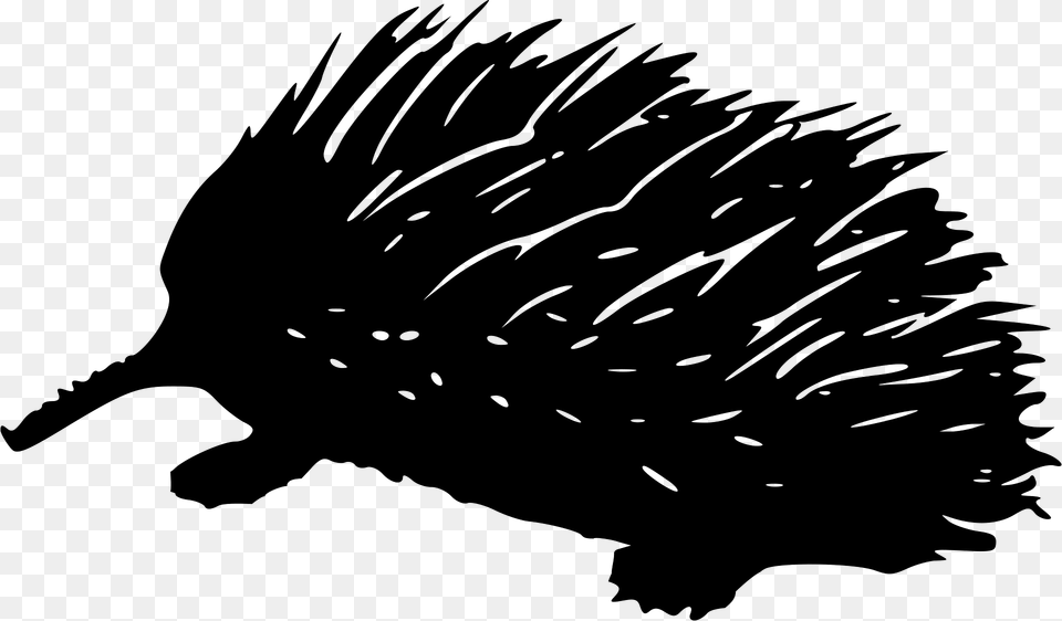 Porcupine Clipart, Animal, Mammal, Rodent, Hedgehog Free Transparent Png