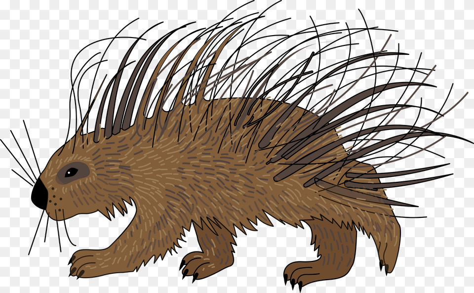 Porcupine Clipart, Animal, Mammal, Rodent, Fish Png
