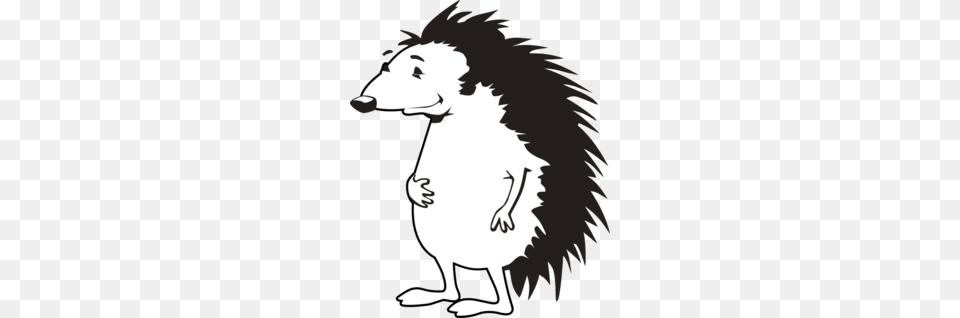 Porcupine Clipart, Stencil, Adult, Female, Person Png Image