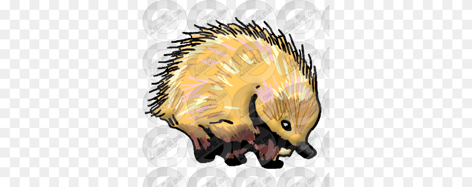 Porcupine Clipart Echidna Echidna, Animal, Hedgehog, Mammal, Rodent Free Transparent Png