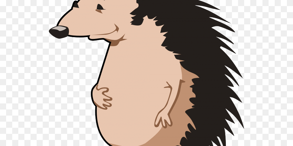 Porcupine Clipart Clip Art Stock Illustrations, Adult, Female, Person, Woman Free Png Download