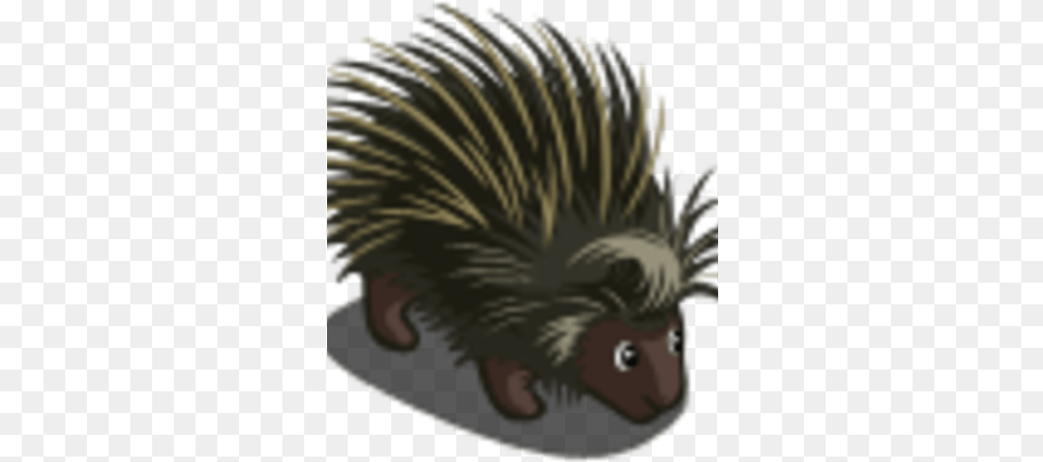 Porcupine Echidna, Animal, Hedgehog, Mammal, Rodent Png Image