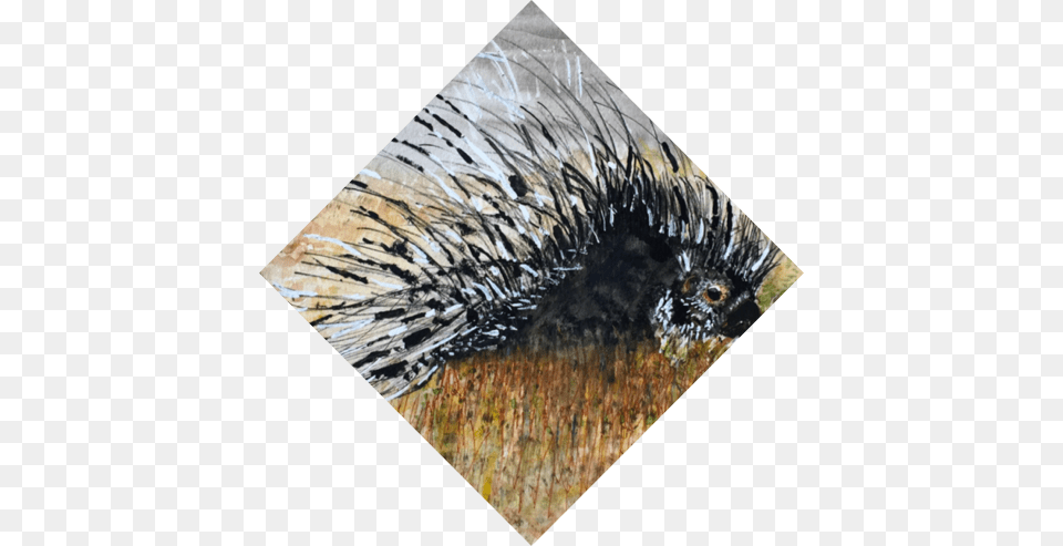 Porcupine Grass, Animal, Mammal, Rodent, Art Png