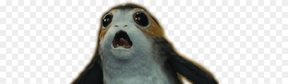 Porg Star Wars The Last Jedi Bird Creature, Animal, Beak, Bear, Mammal Free Png Download