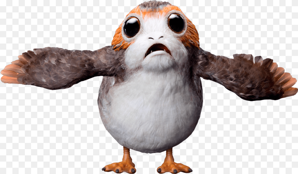 Porgs Were A Type Of Bird Porg Star Wars Transparent, Animal, Beak Free Png Download