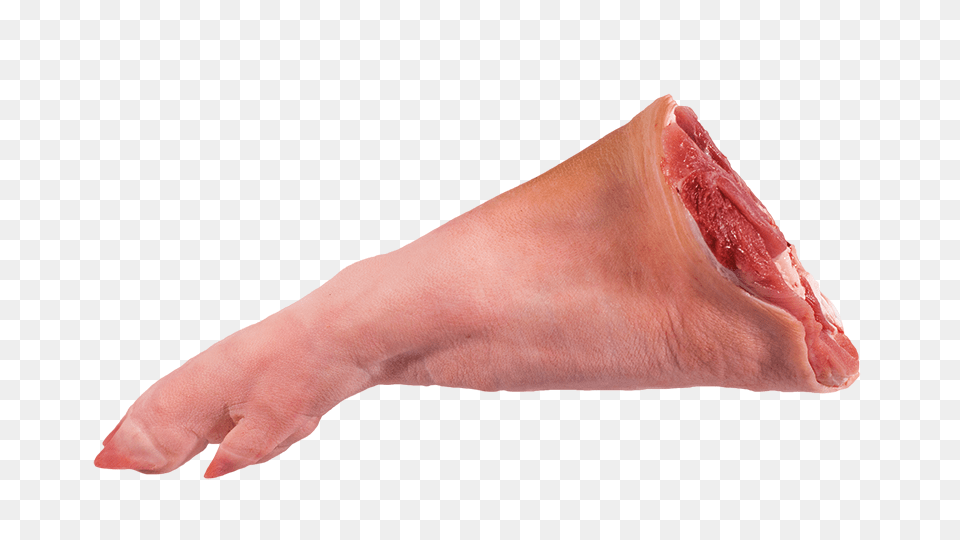 Pork, Ankle, Body Part, Person, Hand Free Png Download