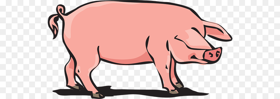 Pork Animal, Boar, Hog, Mammal Free Transparent Png