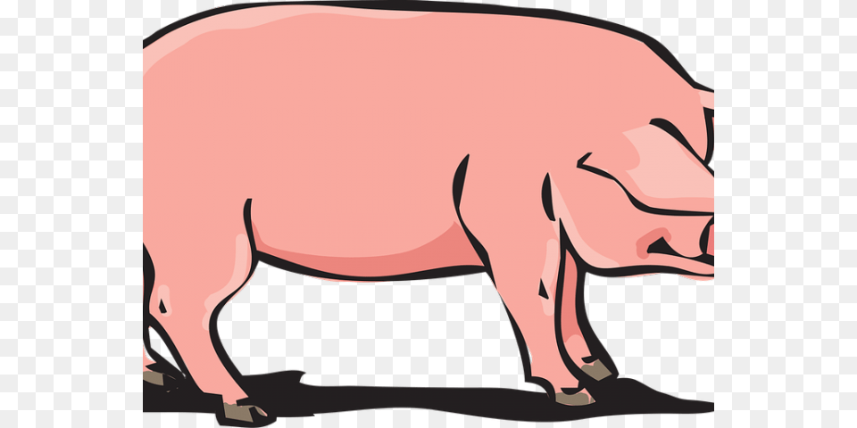 Pork Clipart, Animal, Boar, Hog, Mammal Free Png
