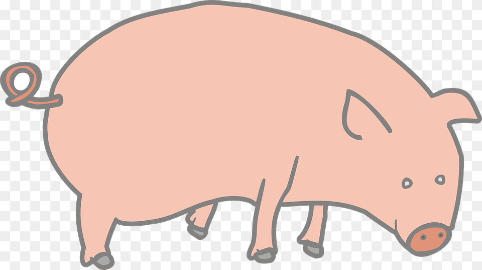 Pork Clipart Domestic Animal, Boar, Hog, Mammal, Pig Free Transparent Png