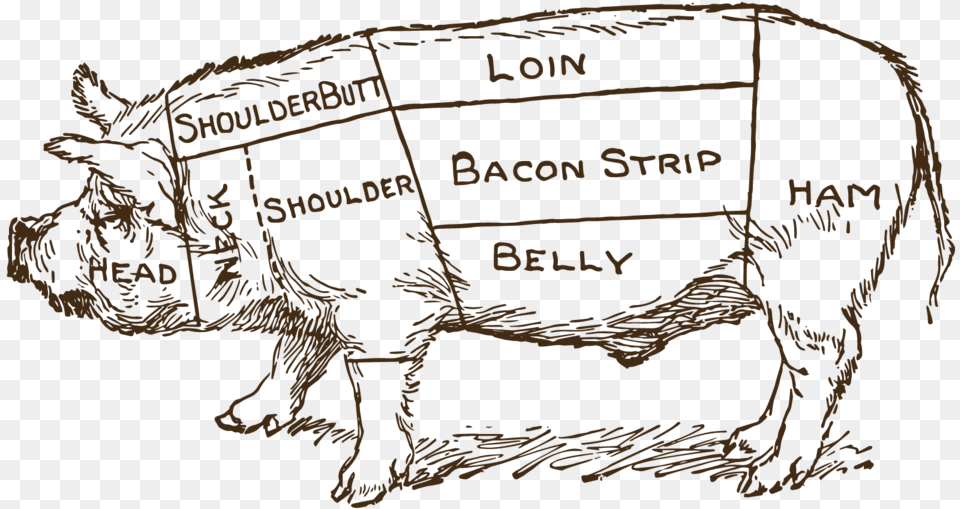 Pork Drawing Pig Butcher Butcher Cuts Of Pig Antique, Animal, Hog, Mammal, Boar Free Png Download