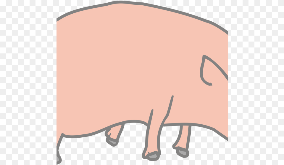 Porky Pig Vietnamese Pot Bellied Cartoon Drawing Cartoon Pig, Animal, Boar, Hog, Mammal Free Transparent Png