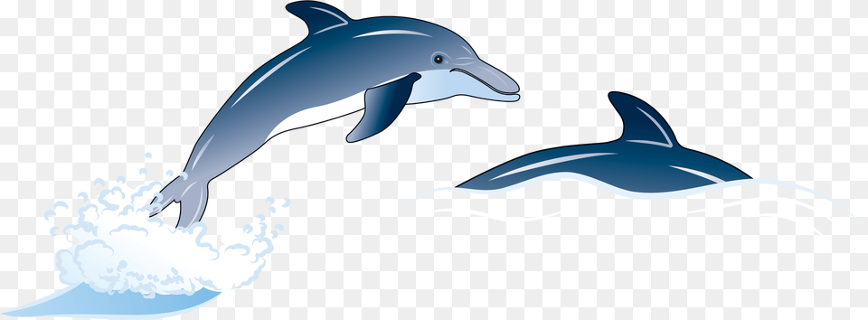 Porpoise Drawing Blue Dolphin Clipart Dolphin, Animal, Mammal, Sea Life, Fish Free Transparent Png