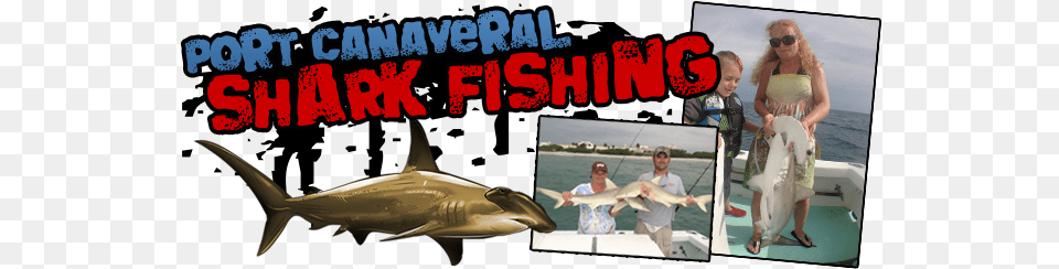 Port Canaveral Shark Fishing Cocoa Beach, Woman, Person, Female, Adult Png Image