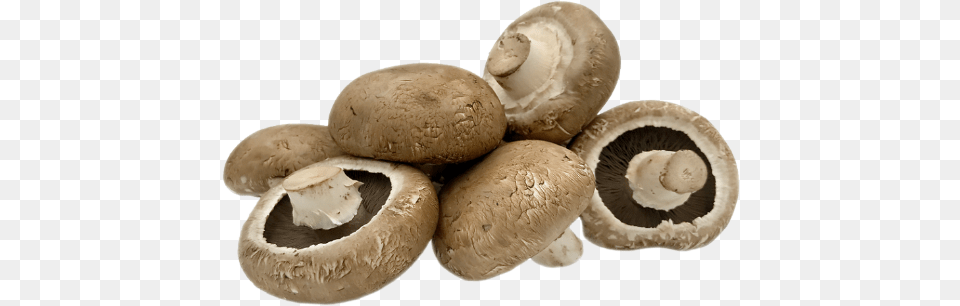 Portabellini Mushrooms Portobellini Mushrooms, Fungus, Plant, Mushroom, Agaric Free Png