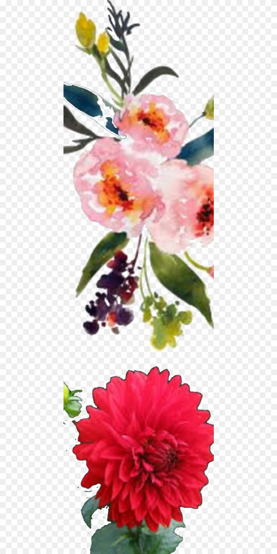 Portable Network Graphics, Art, Dahlia, Floral Design, Flower Free Png Download