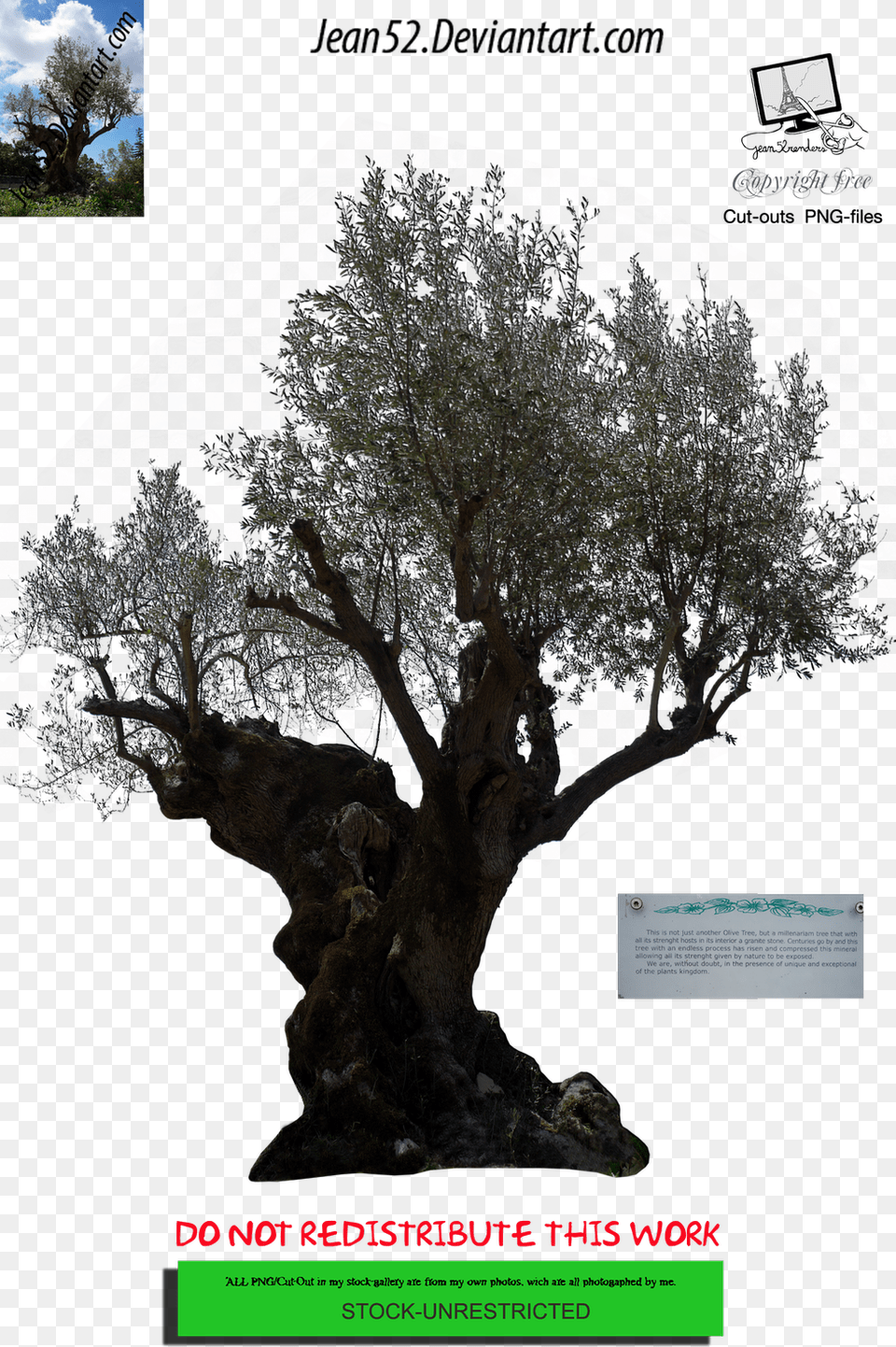 Portable Network Graphics, Plant, Potted Plant, Tree, Tree Trunk Free Transparent Png
