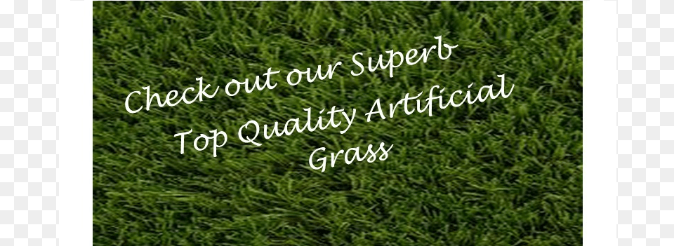 Portable Network Graphics, Grass, Lawn, Moss, Plant Free Png