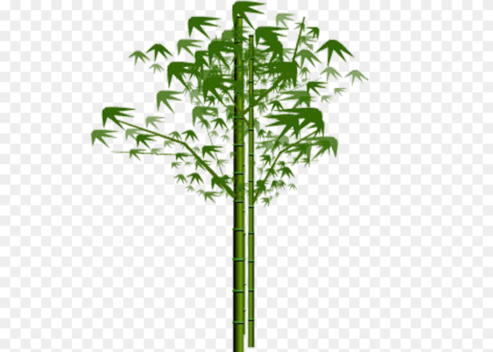 Portable Network Graphics, Bamboo, Plant, Cross, Symbol Free Png