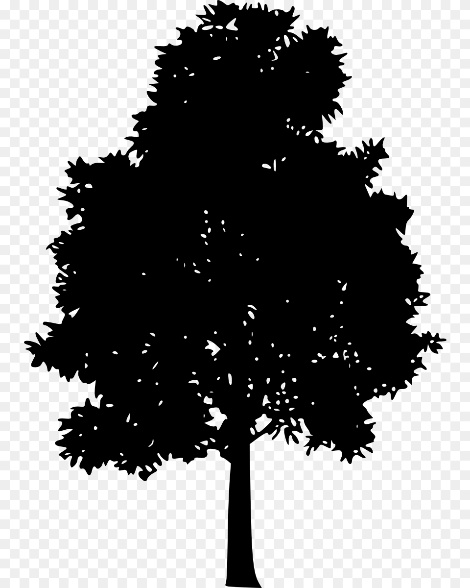 Portable Network Graphics, Plant, Silhouette, Tree, Oak Png Image
