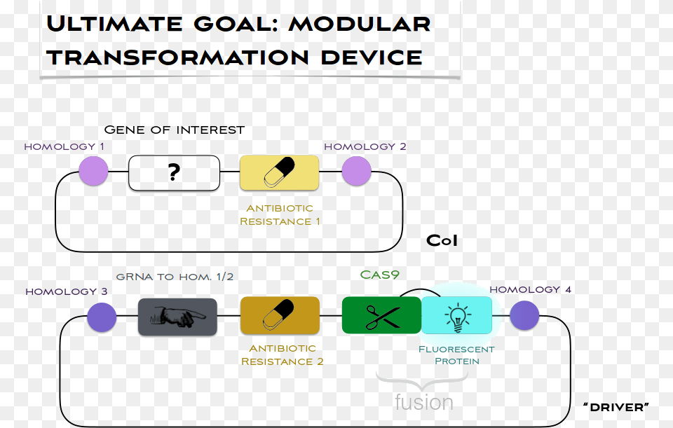 Portable Network Graphics, Text Png