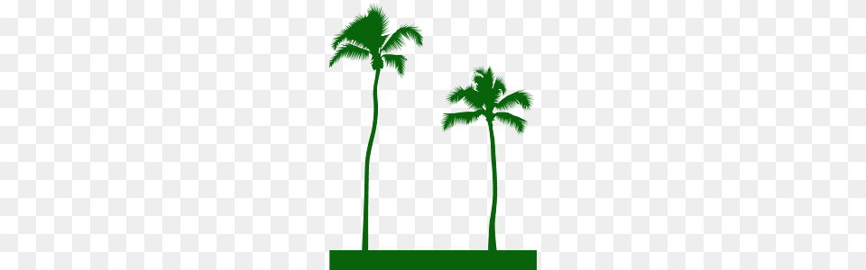 Portable Network Graphics, Palm Tree, Plant, Tree, Green Free Transparent Png