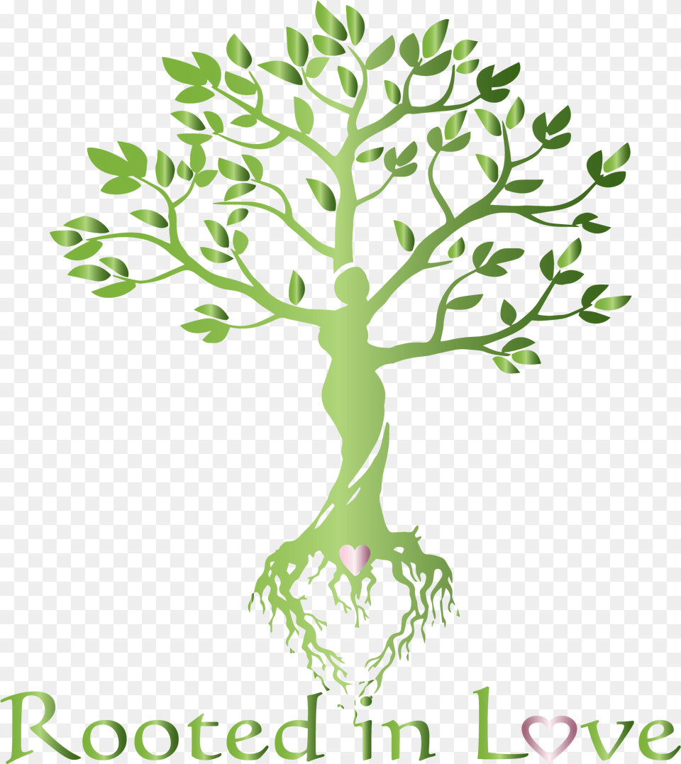 Portable Network Graphics, Green, Plant, Tree, Vegetation Free Png Download