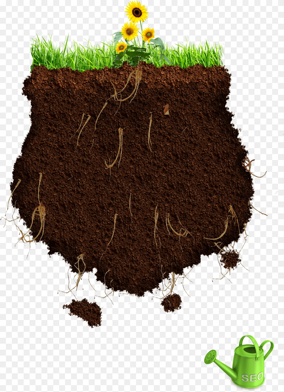 Portable Network Graphics, Plant, Potted Plant, Soil, Pottery Free Png Download