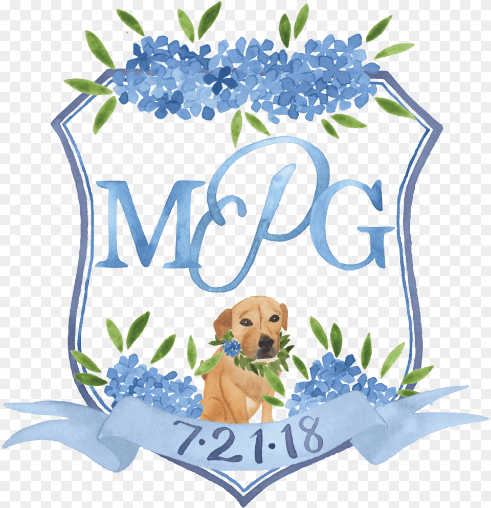 Portable Network Graphics, Animal, Canine, Dog, Mammal Free Png