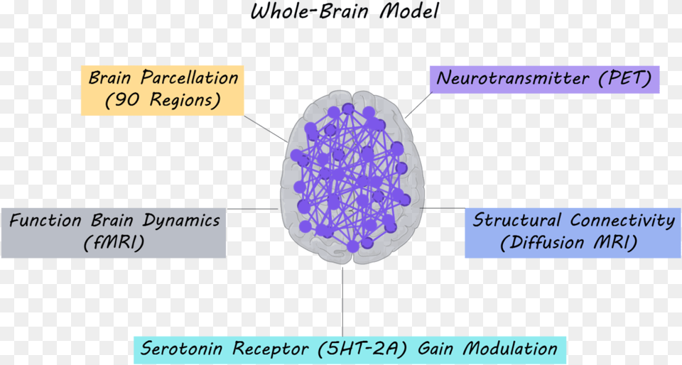 Portable Network Graphics, Ct Scan, Text Free Png Download