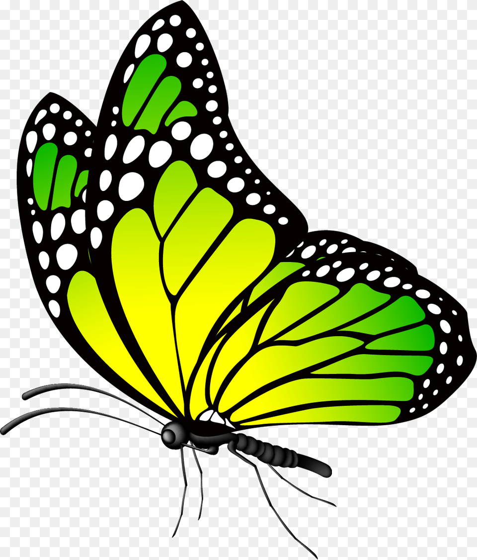 Portable Network Graphics, Animal, Butterfly, Insect, Invertebrate Free Png Download