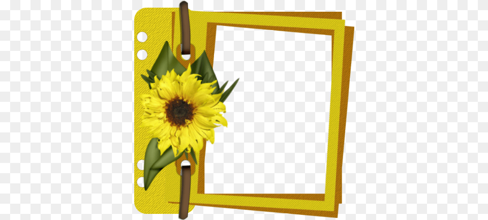 Portable Network Graphics, Flower, Plant, Sunflower, Blackboard Png Image