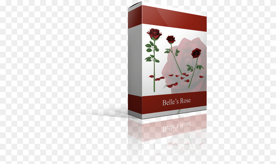 Portable Network Graphics, Flower, Plant, Rose, Herbal Png
