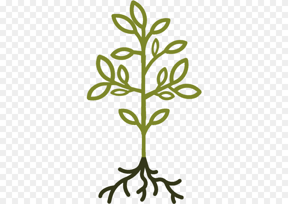 Portable Network Graphics, Leaf, Plant, Person, Potted Plant Png Image