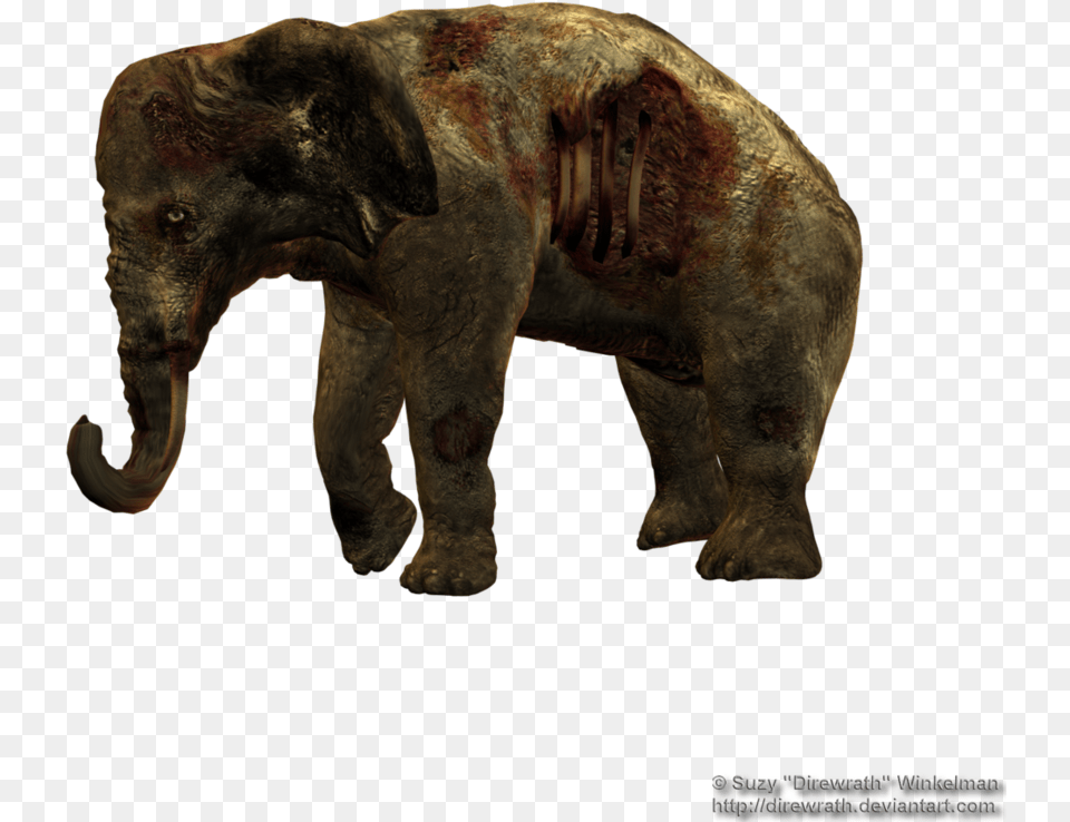 Portable Network Graphics, Animal, Elephant, Mammal, Wildlife Png