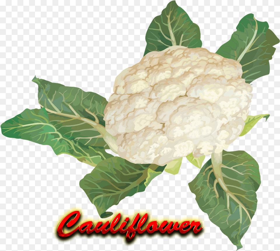 Portable Network Graphics, Cauliflower, Food, Plant, Produce Free Transparent Png