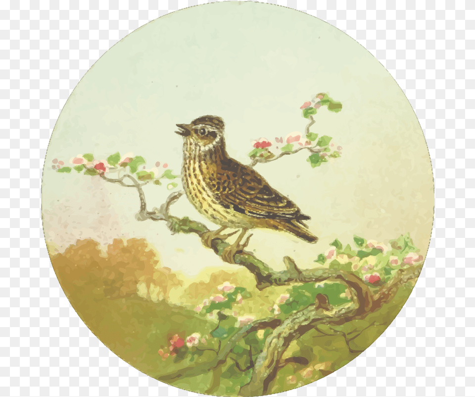 Portable Network Graphics Clip Art, Animal, Anthus, Bird, Painting Png Image