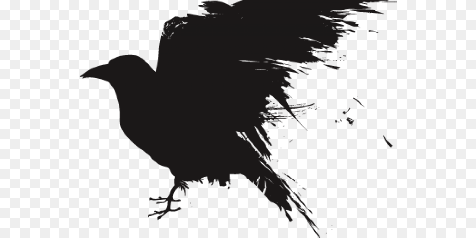 Portable Network Graphics Clip Art Common Raven Transparency Raven Art Transparent Background, Person, Silhouette, Animal, Bird Png Image