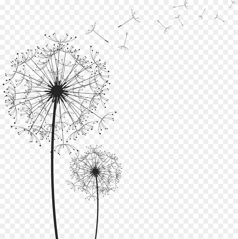 Portable Network Graphics Clip Art Image Vector Graphics Black And White Dandelion Art, Flower, Plant, Blackboard Free Transparent Png