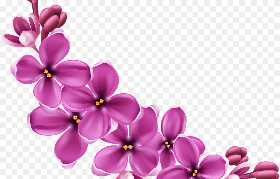 Portable Network Graphics Clip Art Background Flowers Hd, Flower, Plant, Lilac, Chandelier Free Transparent Png