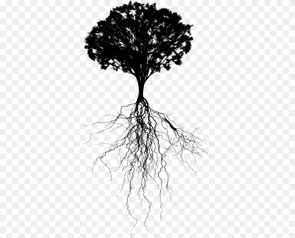 Portable Network Graphics Clip Art Vector Graphics Tree With Roots, Gray Png