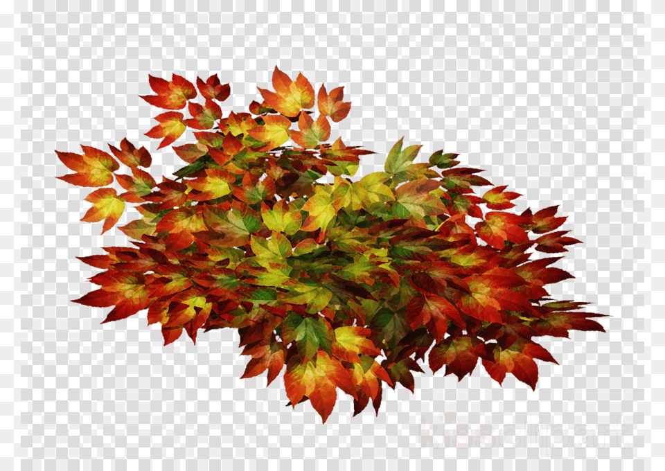Portable Network Graphics Clipart Clip Art Oracover Bgelfolie Fun 44 010 023 010 L X B 10 M, Leaf, Plant, Tree, Pattern Free Transparent Png
