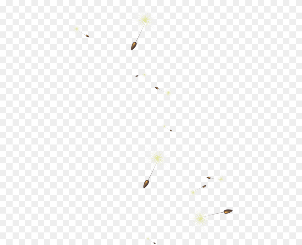 Portable Network Graphics Desktop Wallpaper Gif Yellow Dandelion, Daisy, Flower, Petal, Plant Png Image