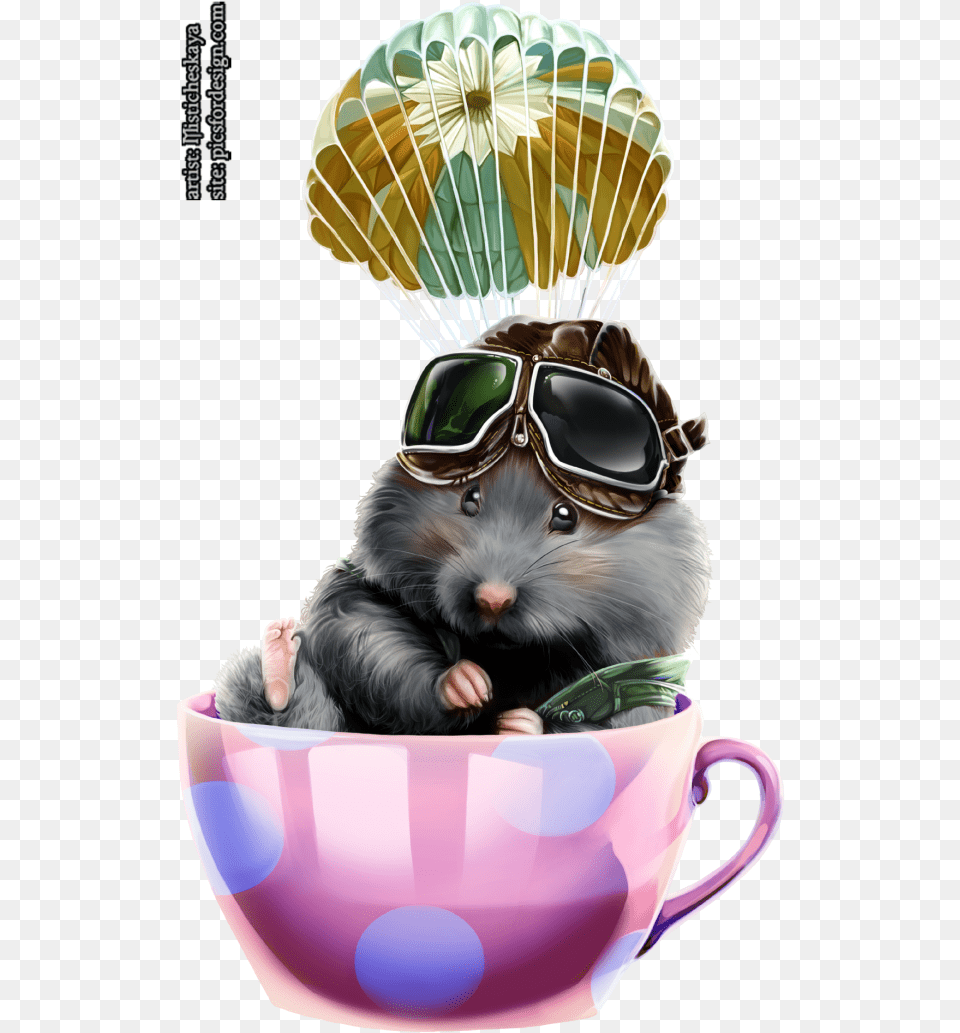 Portable Network Graphics Download, Cup, Accessories, Sunglasses, Animal Png Image