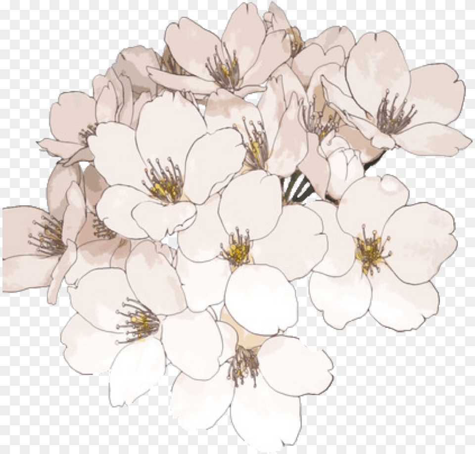 Portable Network Graphics Transparency Flower Clip Flowers Anime, Plant, Art, Chandelier, Lamp Free Transparent Png