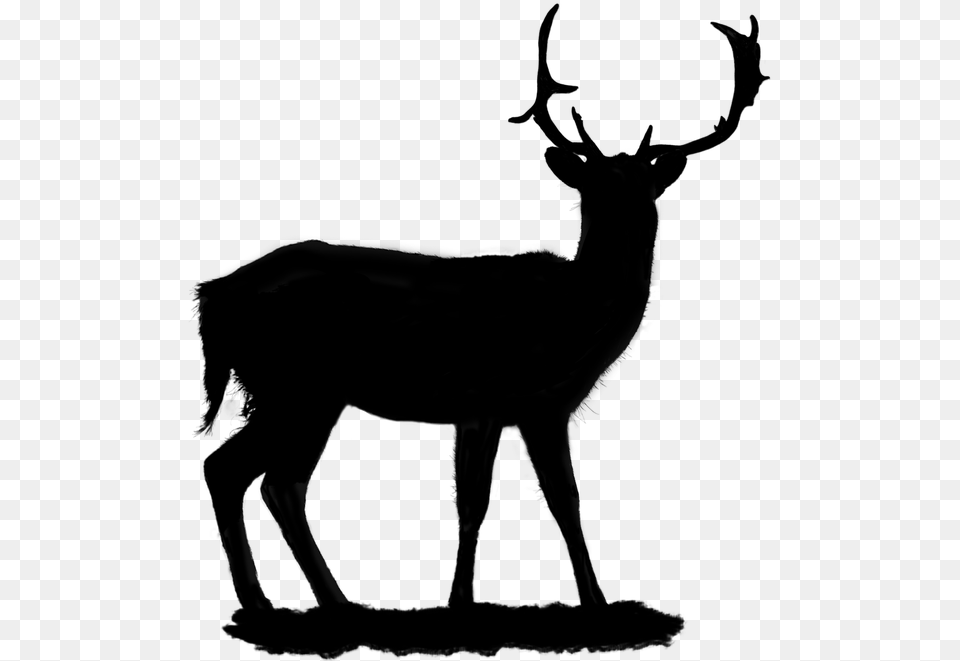 Portable Network Graphics Vector Graphics Clip Art Deer Silhouette, Gray Free Png