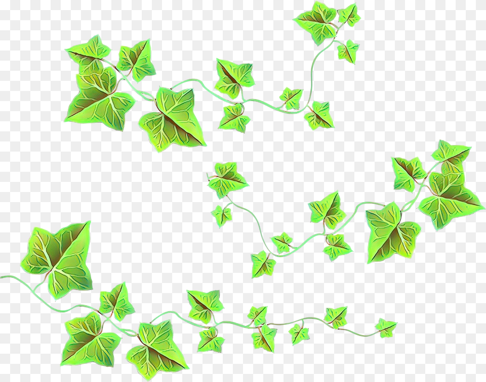 Portable Network Graphics Vine Clip Art Common Ivy Clipart Ivy, Leaf, Plant Free Transparent Png