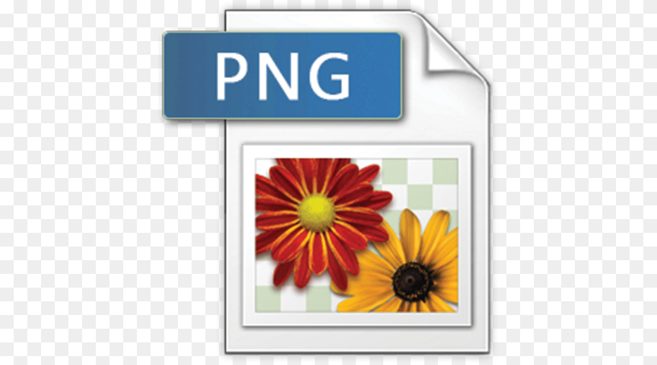 Portable Network Graphics Windows 8 Delete File, Daisy, Flower, Plant, Petal Png